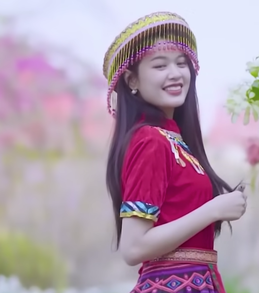 lĩnh vực hoạt động